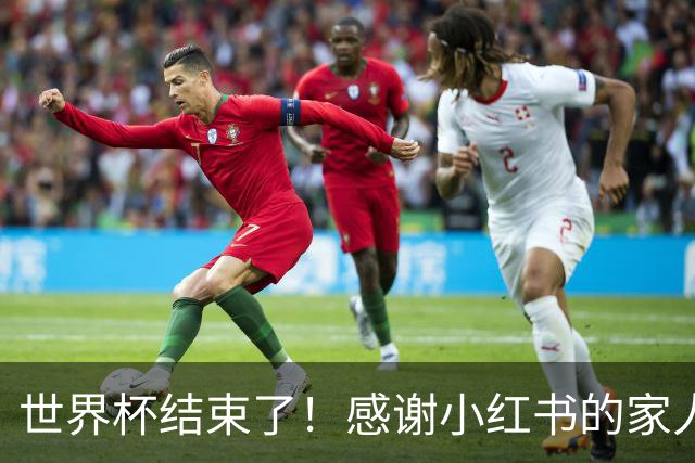 世界杯结束了！感谢小红书的家人们帮我把乐子放大1000倍