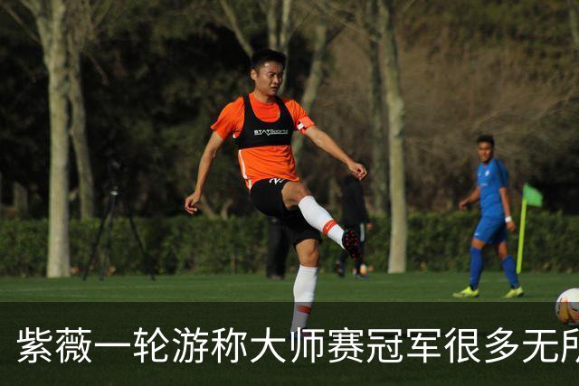 紫薇一轮游称大师赛冠军很多无所谓，对手：没辛卡，人人都有机会